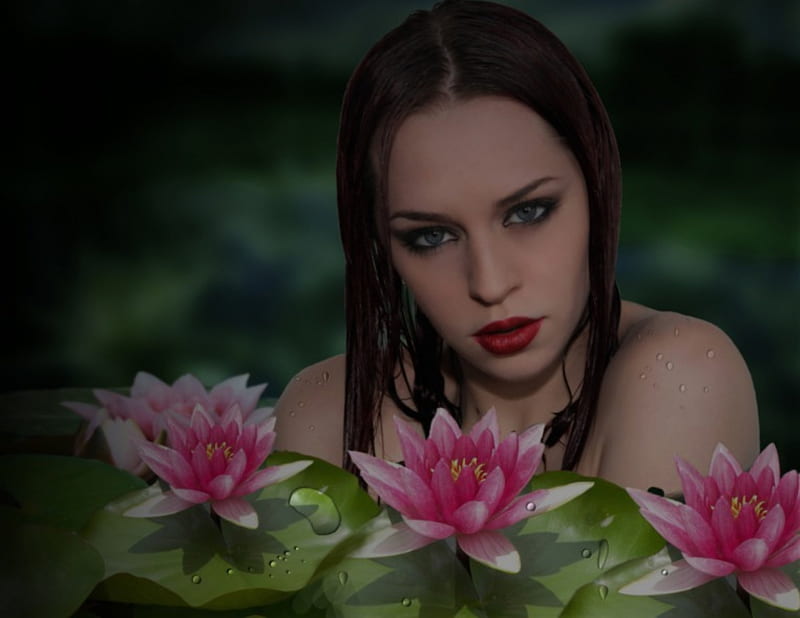 Water Lillies, beauty, bath, water, lillies, HD wallpaper