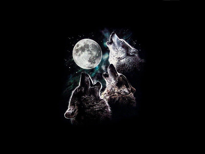 3 WOLF MOON, stars, moon, trio, three, wolves, sky, howling, night, HD wallpaper
