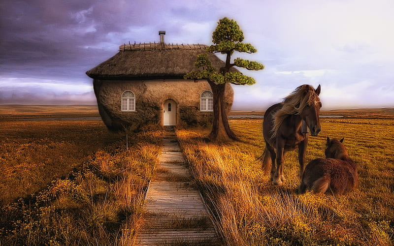 Icelandic Horse, hut, horses, pasture, wildlife, Iceland, HD wallpaper