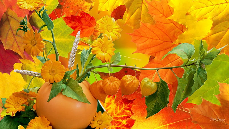Abundance of Fall Colors, fall, flowers, autumn, grass, wheat, yellow,  seeds, HD wallpaper | Peakpx