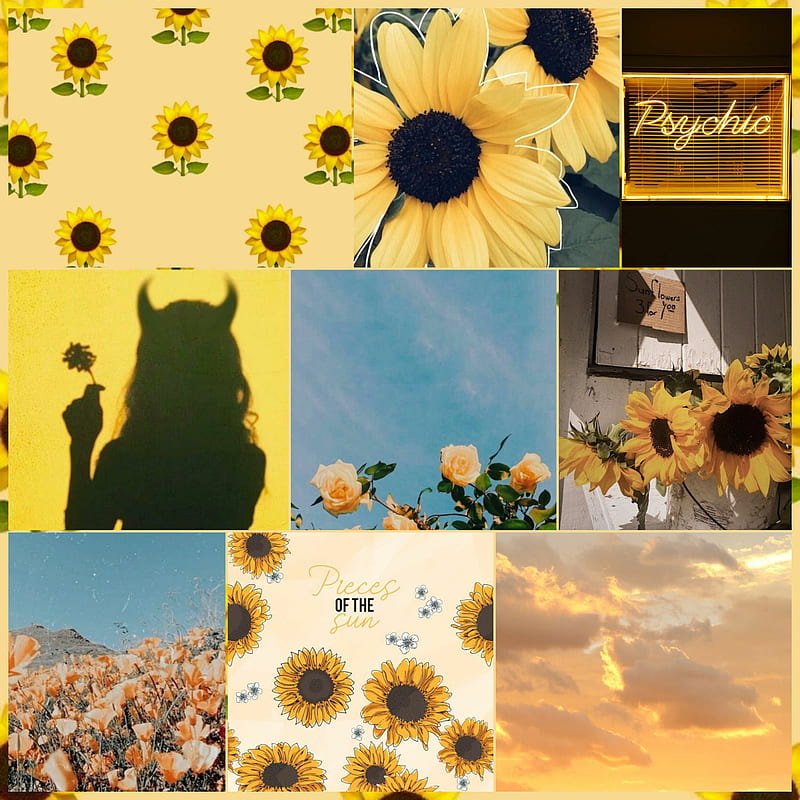 Fotos amarillas cool, aesthetic, yellow, girasol, tumblr, HD phone  wallpaper | Peakpx