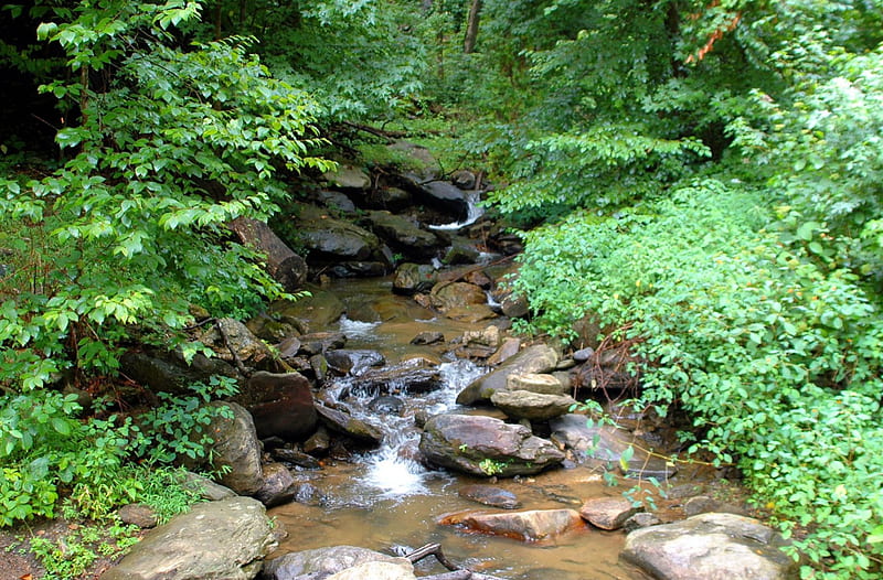 Small Waterfall Creek in North Georgia, USA, Waterfalls, Creeks, Rocks ...