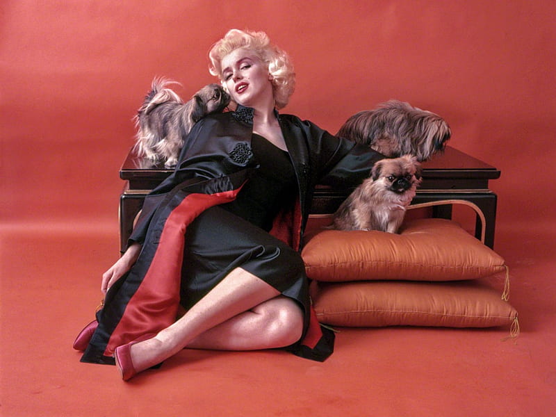 Marilyn Monroe, movie star, art, Norma Jean Baker, HD wallpaper