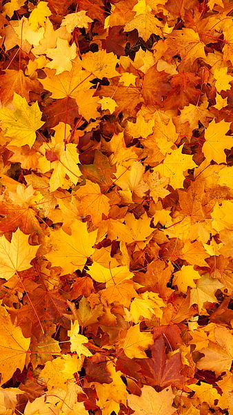 Simple Autumn Wallpapers  Wallpaper Cave