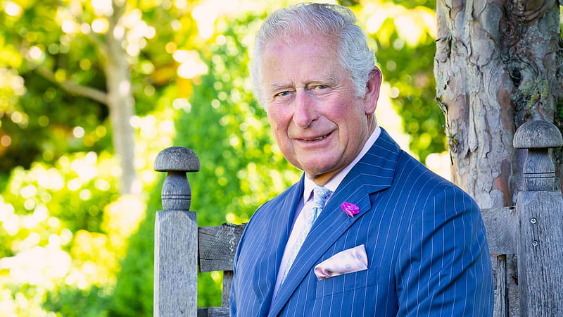 Prince Charles: New of royal in his garden at Highgrove released to mark his birtay. UK News, HD wallpaper