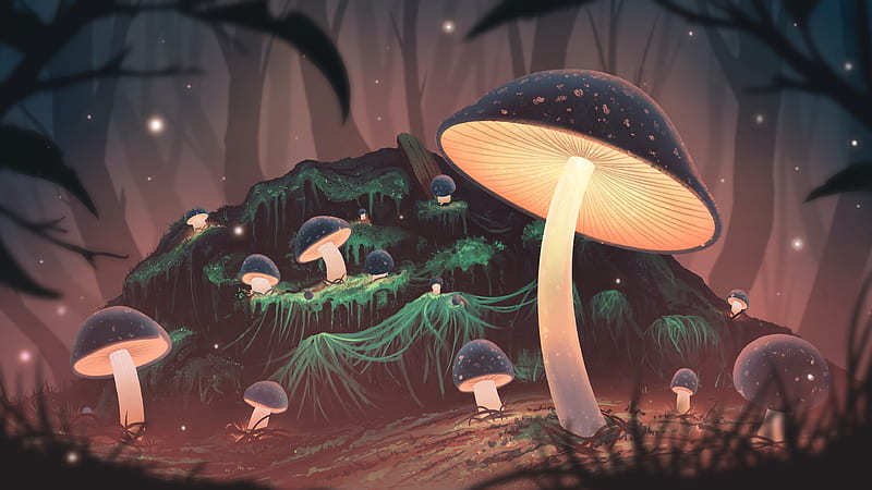 Fantasy, Nature, Forest, Mushroom, Night, HD wallpaper