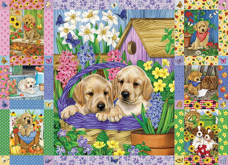 dog, summer, flower, kilt, caine, collage, puppy, HD wallpaper