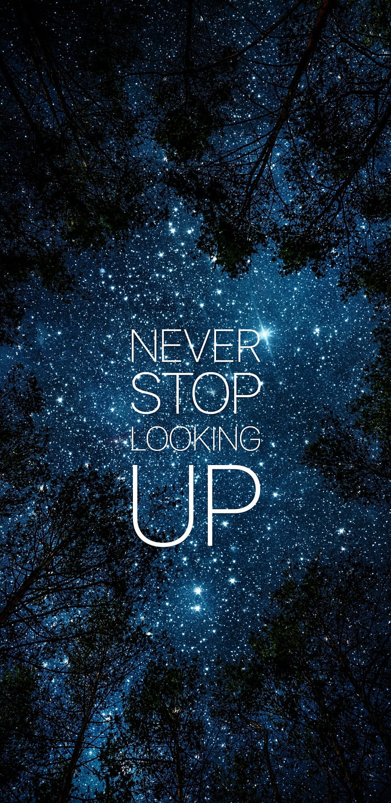 NEVER GIVE UP, quotes, sayings, HD phone wallpaper | Peakpx