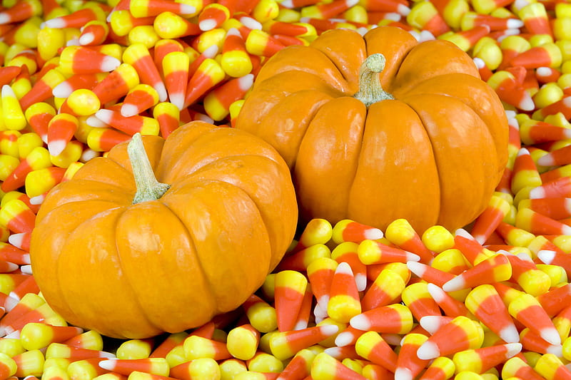 Candy Corn & Pumpkins, Fall, candy, gourds, still life, candy corn, pumpkin, Halloween, Autumn, pumpkins, HD wallpaper