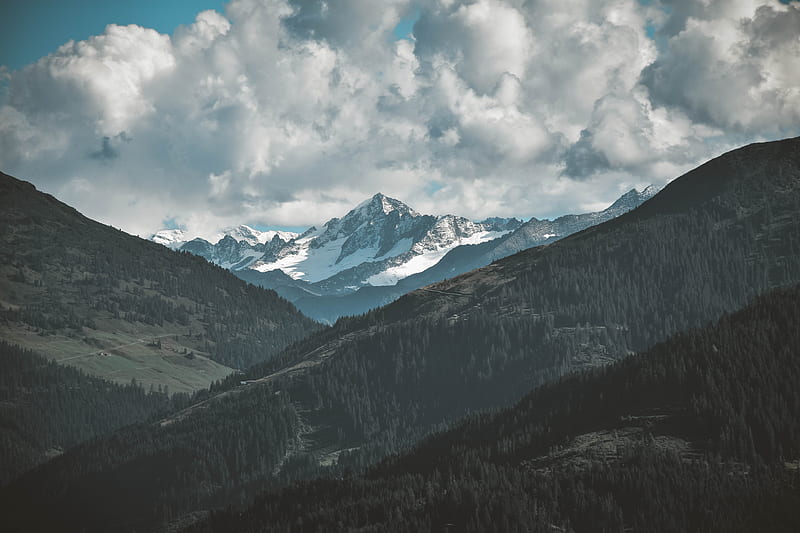 Landscape of alps surrounded by trees, HD wallpaper | Peakpx