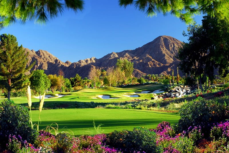 Golf in Palm Springs, grass, bonito, sky, freshness, mountain, sport, golf, flowers, palm springs, field, meadow, HD wallpaper