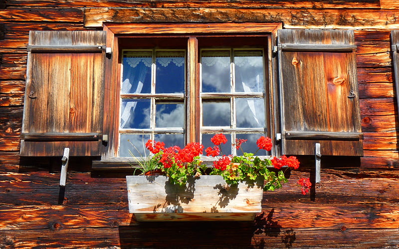Window in Farmhouse, flowers, farmhouse, window, wood, HD wallpaper