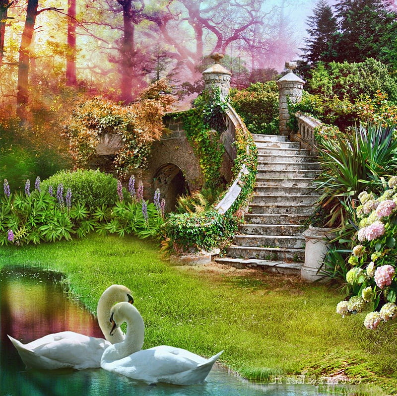 My little Paradise, birds, fantasy, paradise, swans, HD wallpaper