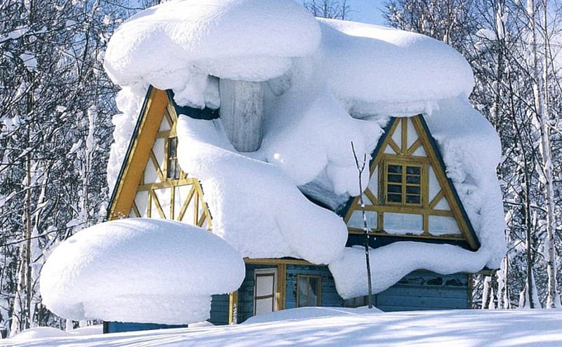 Deep Snow, house, roof, season, trees, winter, HD wallpaper