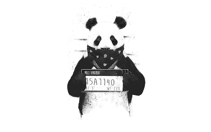Panda malo, criminal, animal, Fondo de pantalla HD | Peakpx