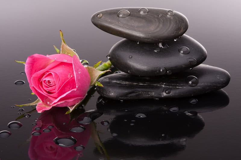 Spa still life, pretty, rose, bonito, drops, fragrance, leaves, stones, reflection, pink, massage, lovely, relax, black, scent, spa, flower, petals, HD wallpaper