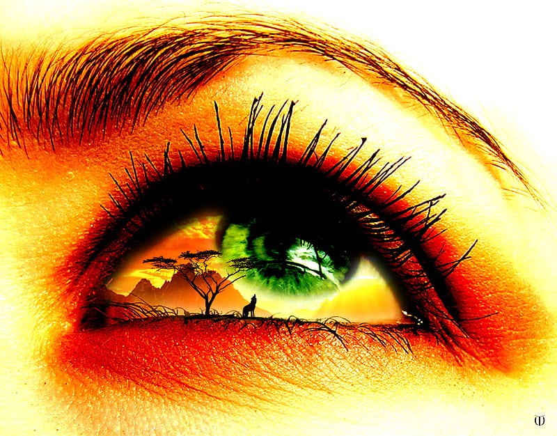 Over-Exaggerated Ocular Art : eye art