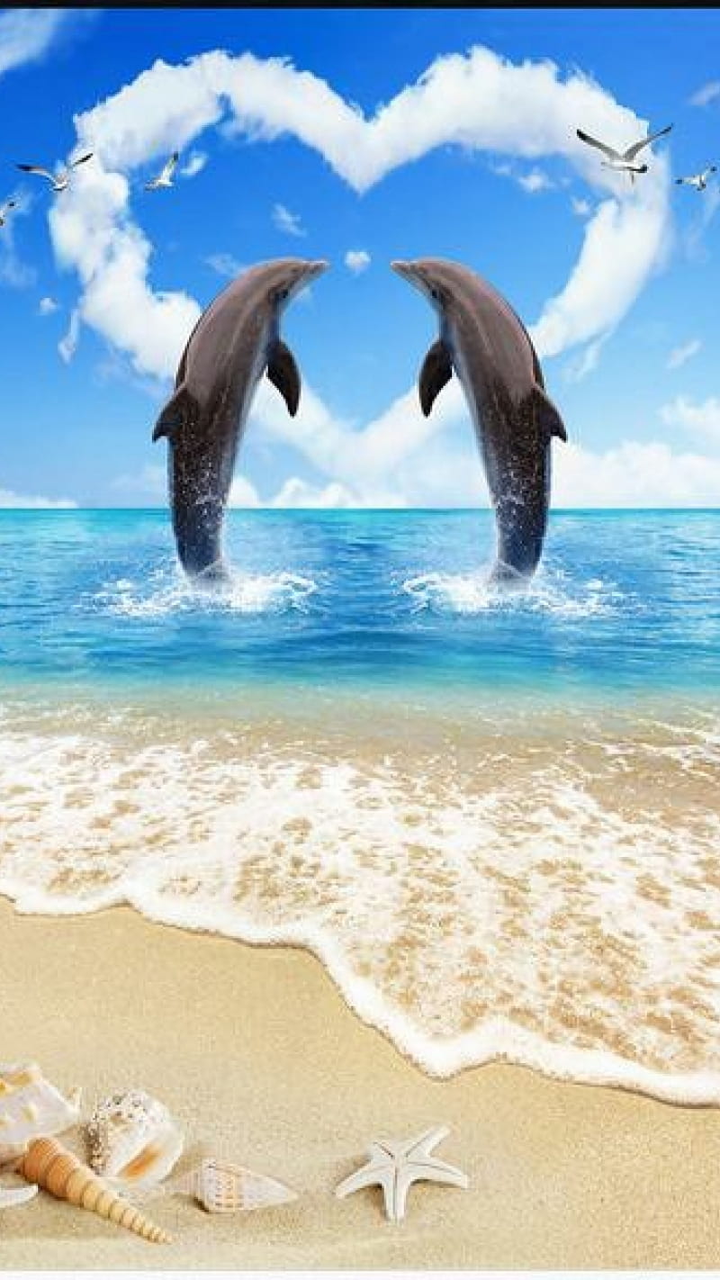 dolphin love, dolphins, mammals, sea, HD phone wallpaper