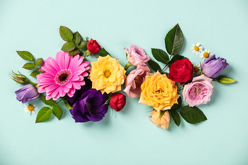 Man Made, Flower, Colors, Gerbera, Leaf, Rose, Tulip, HD wallpaper