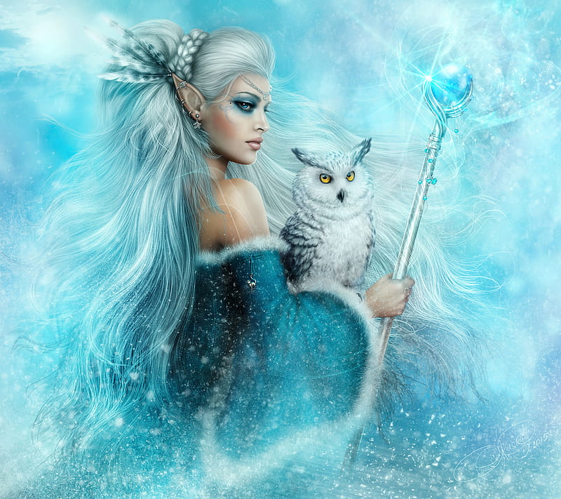 Elf, blue, fantasy, magic, owl, HD wallpaper
