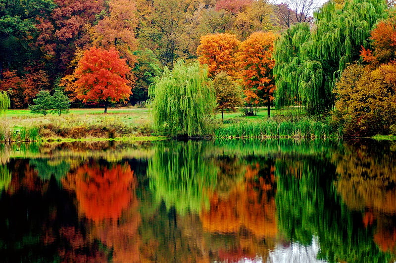 Autumn reflections, fall, autumn, calmness, colors, bonito, park, lake ...