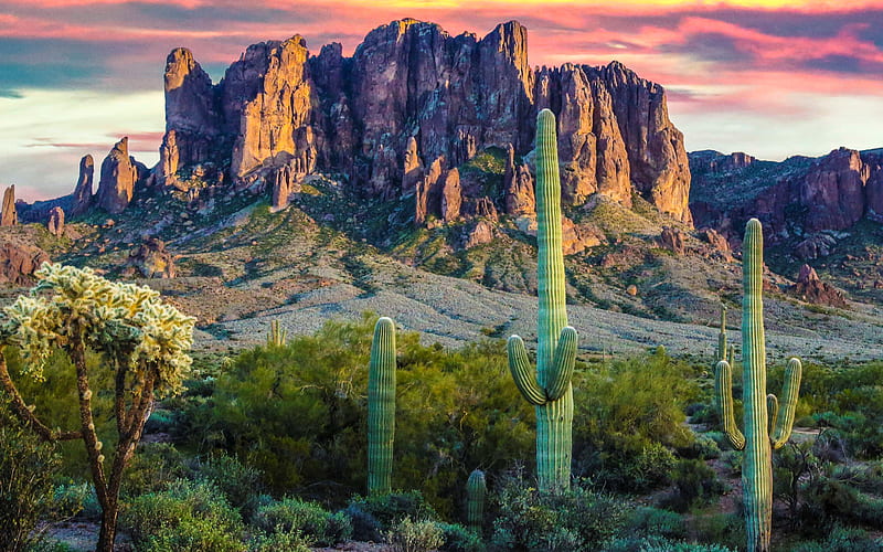 Mountain in Desert, mountain, desert, nature, cactus, landscape, HD  wallpaper | Peakpx