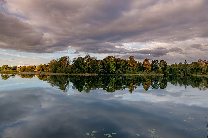 lake, trees, shore, water, reflection, HD wallpaper