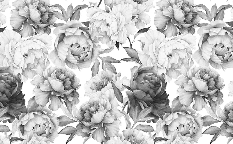 Home Improvement Building & Hardware White and Black Hand Drawn Floral Fabric Removable 5539 HO4417700, HD wallpaper