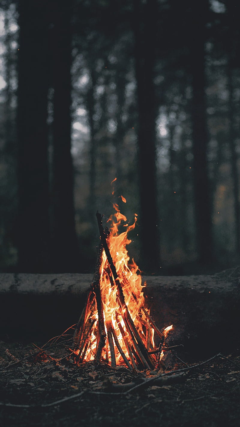 nature, landscape, portrait display, wood, fire, branch, trees, forest, burning, campfire, leaves, dark, depth of field, HD phone wallpaper