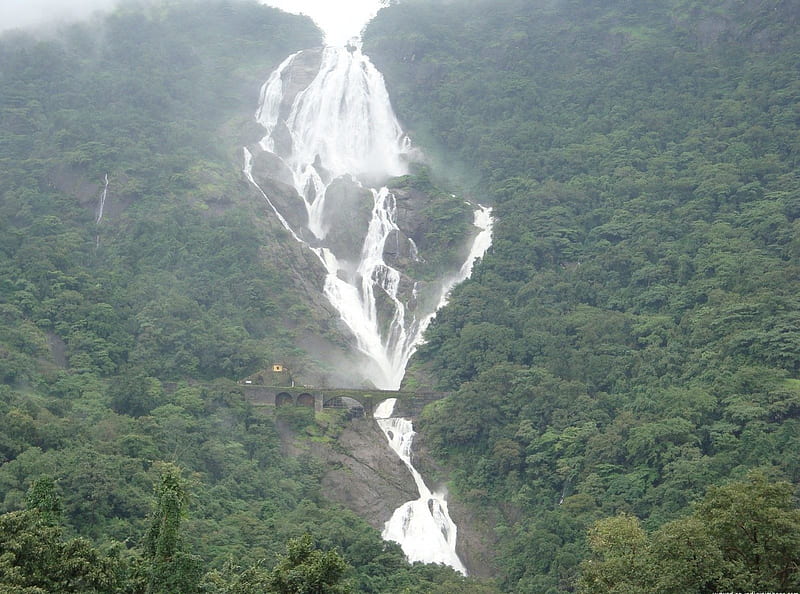 Dudhsagar Falls - India, Asia, Waterfalls, Dudhsagar Falls, India, HD  wallpaper | Peakpx