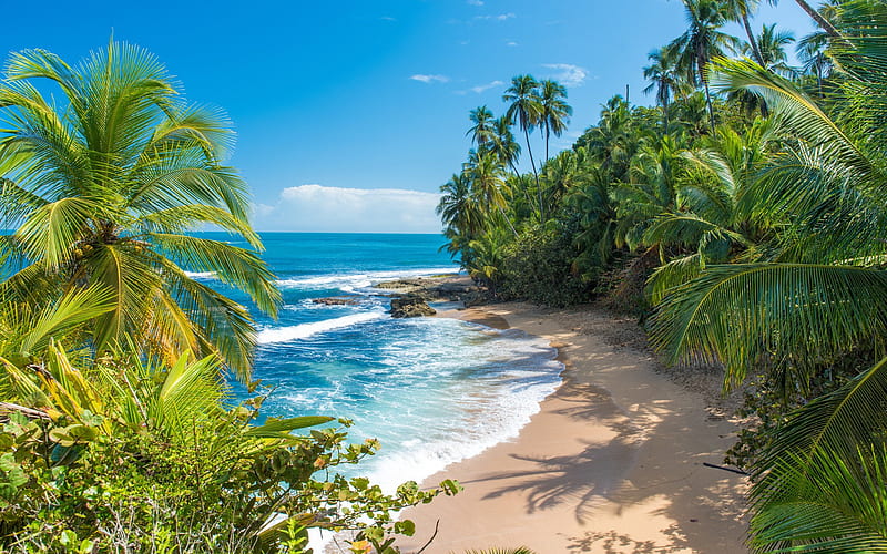 Caribbean, tropical island, ocean, bay, palm trees, beautiful islands, summer travel, Costa Rica, HD wallpaper