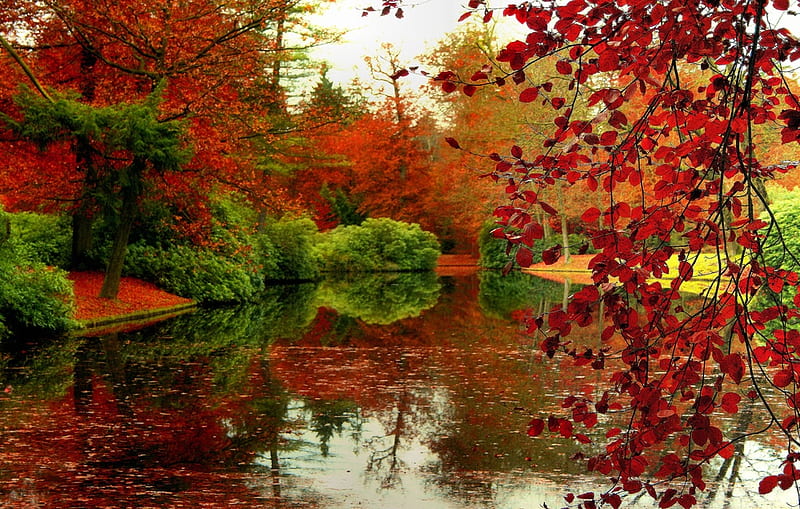 Paradise, autumn, water, trees, lake, HD wallpaper | Peakpx