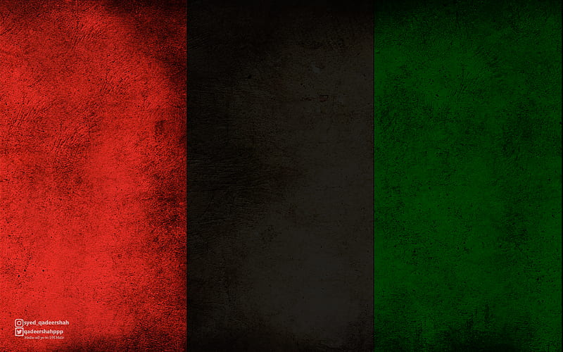 PPP , bhutto, bilawal, flag, party, peoples, pyo, youth, zardari, HD wallpaper
