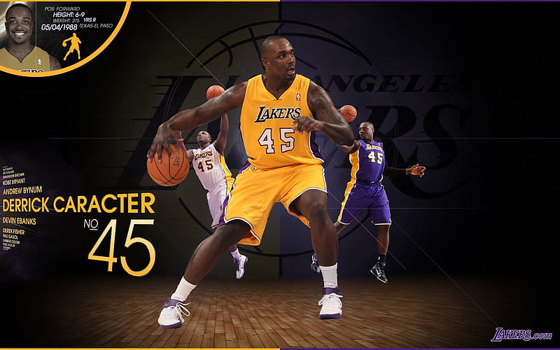 2010-11 season NBA Los Angeles Lakers derrick caracter, HD wallpaper