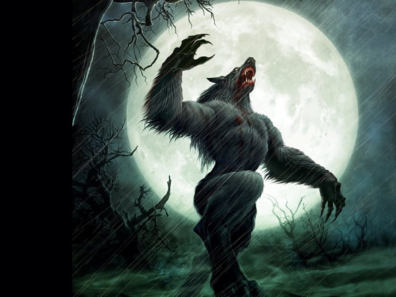 Werewolf, moon, gothic, dark, night, HD wallpaper | Peakpx
