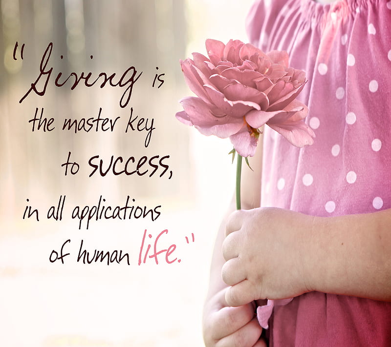 Quote, nice, HD wallpaper Quote, nice, HD wallpaper