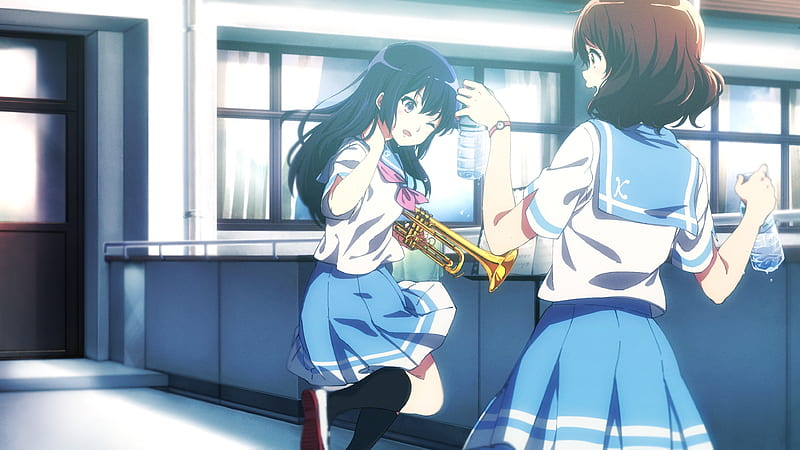 kousaka reina, hibike euphonium, oumae komiko, school uniform, musical anime, instrument, Anime, HD wallpaper