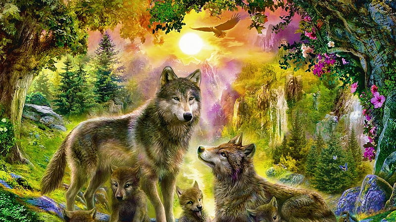 Wolf, Familie, Deutschland, Adler, HD wallpaper