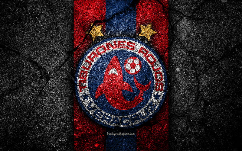 Veracruz FC, logo, Liga MX, football, soccer, Primera Division, black stone, Mexico, Veracruz, asphalt texture, football club, FC Veracruz, HD wallpaper