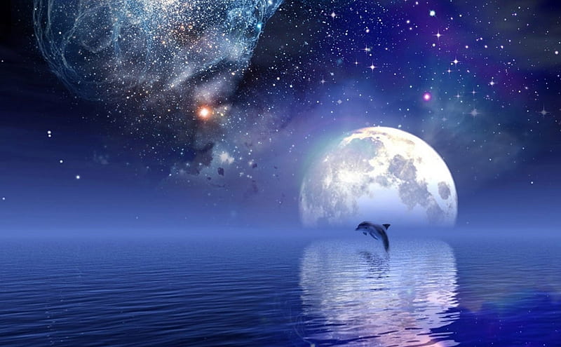 Alone in the nightsky, Sea, Galaxy, Sky, Dolphin, Fantasy, Night, HD wallpaper