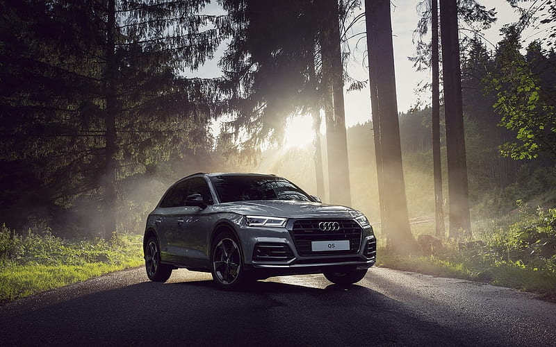 Audi Q5, road, 2018 cars, crossovers, new Q5, forest, Audi, HD wallpaper