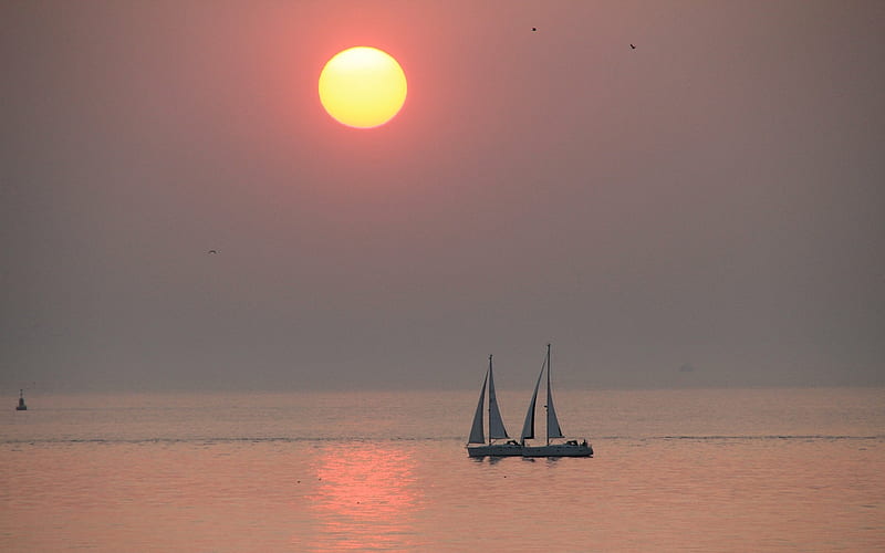 Yachts and Sun, yachts, sailing, sunset, sea, HD wallpaper