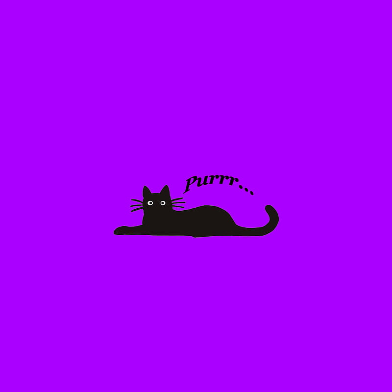 Black Cat Resting, purple, kitty, feline, pet, animal, HD phone wallpaper