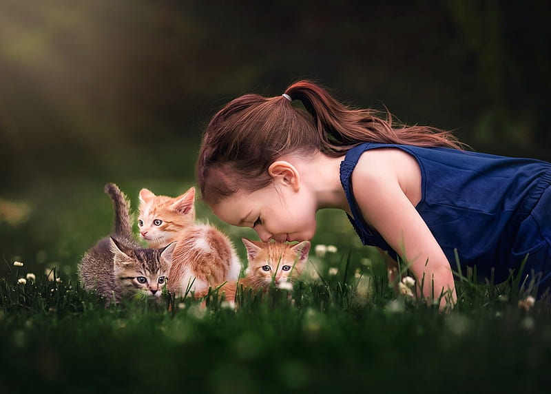 little girl, pretty, grass, adorable, sightly, sweet, nice, beauty, face, child, bonny, lovely, pure, blonde, cat, baby, cute, white, Hair, little, Nexus, bonito, dainty, kiss, kid, graphy, fair, Fun, green, people, pink, Belle, comely, girl, nature, childhood, HD wallpaper