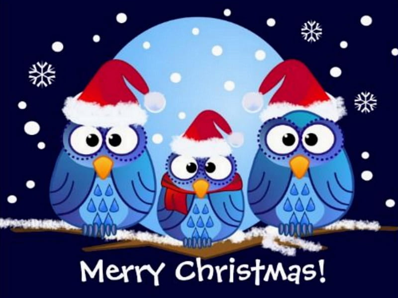 owls christmas, cartoon, merry christmas, night, xmas, HD wallpaper