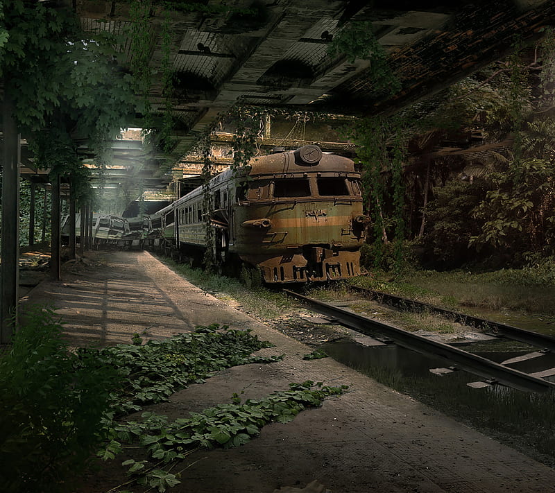 TRAIN train, HD wallpaper | Peakpx