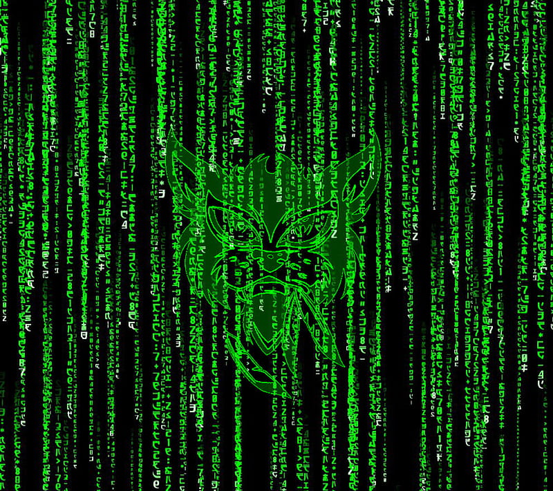 Offspring cat Matrix, alan forbes, cat, conspirance of one, matrix code, HD wallpaper