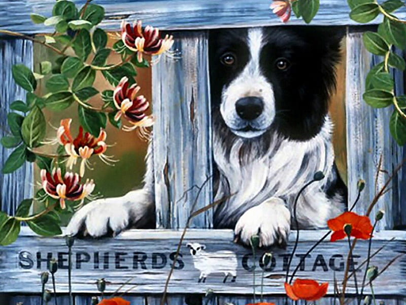 Shepherds Cottage - Dog F2, art, shepherd, artwork, canine, animal, pet, painting, collie, dog, HD wallpaper