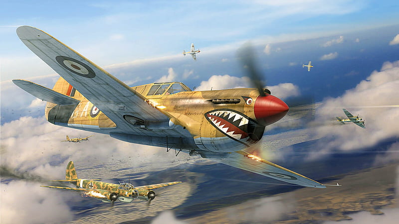 Military Aircraft, Curtiss P-40 Warhawk, Aircraft, Warplane, HD wallpaper