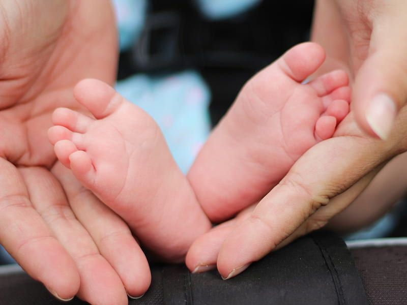 person holding baby feet, HD wallpaper